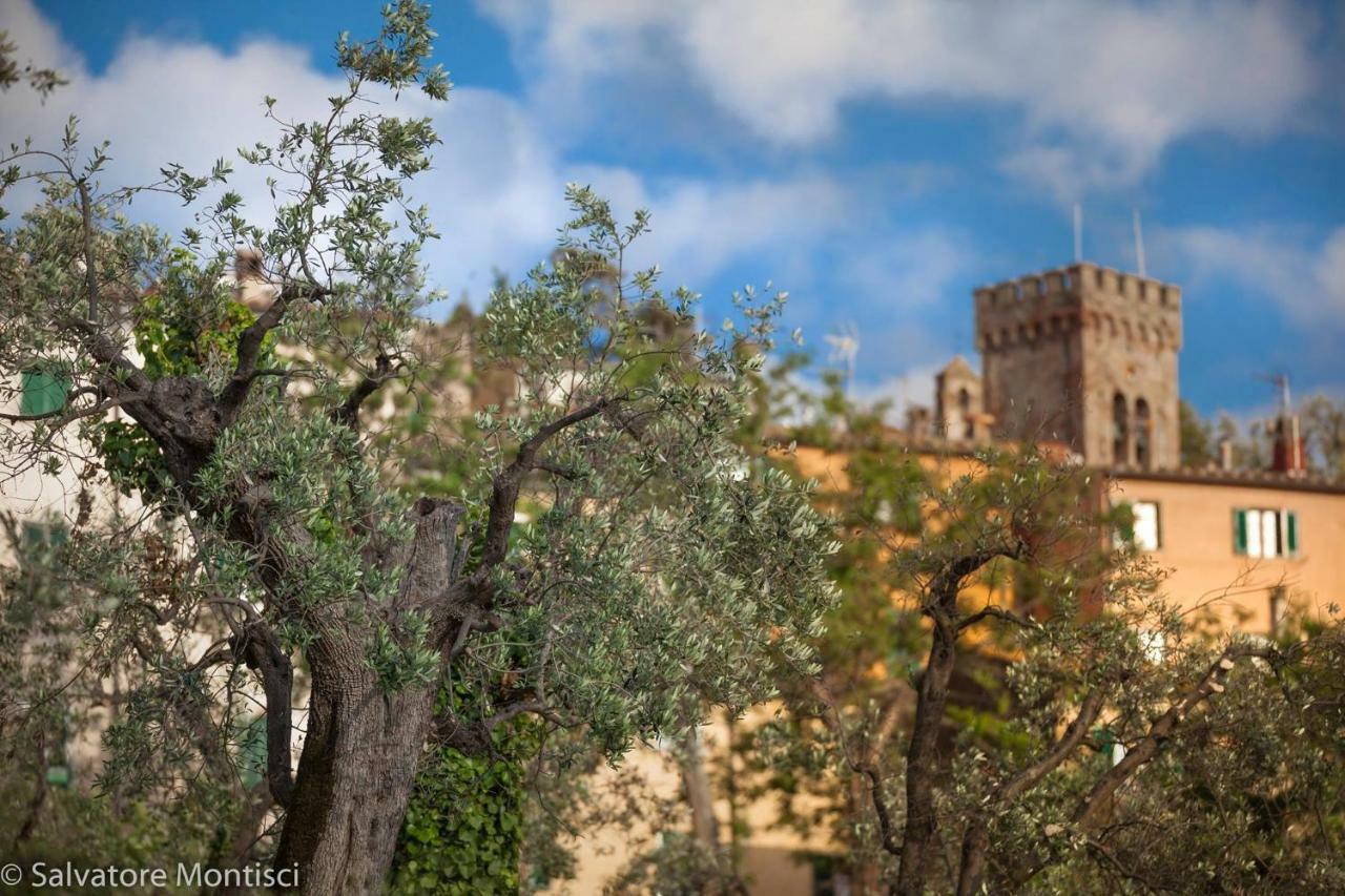 Acacia Casetta Con Giardino Donoratico Dış mekan fotoğraf